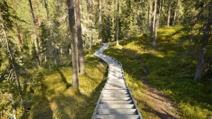 Aikuinen seura Suomussalmella: keskustelua, yhteensopivuutta ja turvallisia valintoja