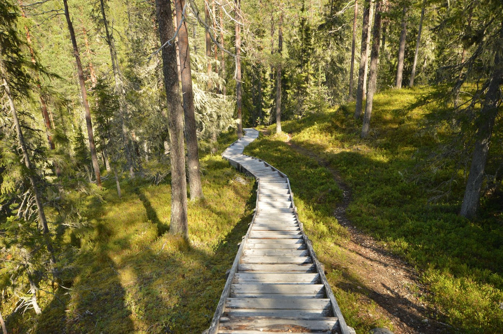 Rauhallinen Kainuun maisema Suomussalmen seudulla