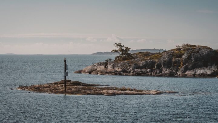 Aikuinen seura Turussa: opas keskusteluun, yhteensopivuuteen ja turvalliseen tutustumiseen