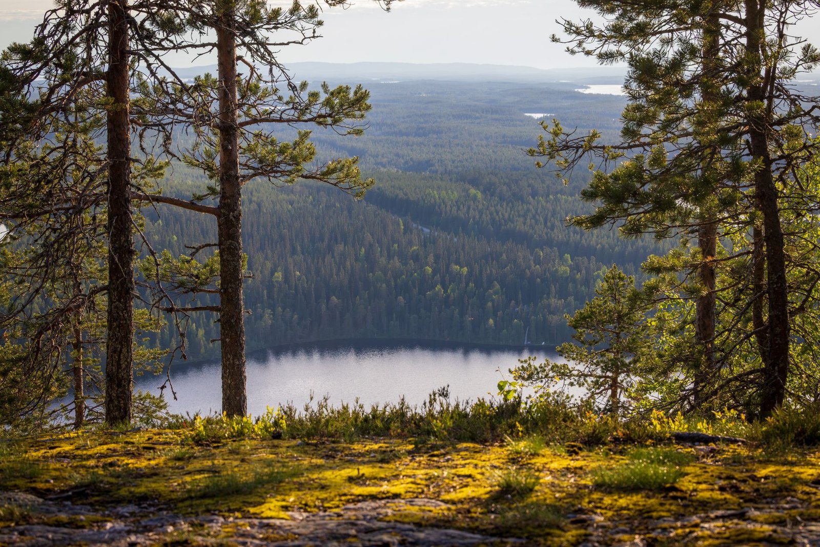 Aikuinen matkailija valmistautuu rauhalliseen iltaan Kuusamossa