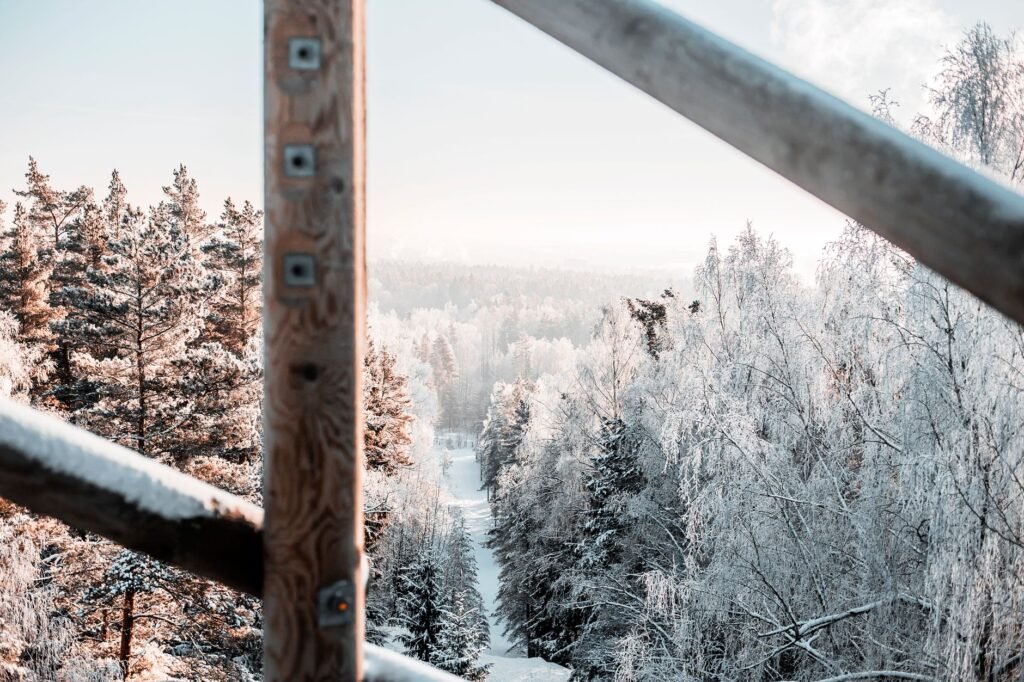 Kaunis ilmakuva jäätyneestä, huurteisesta metsästä talvella, lumipeitteisten puiden ja rauhallisen maiseman kanssa.