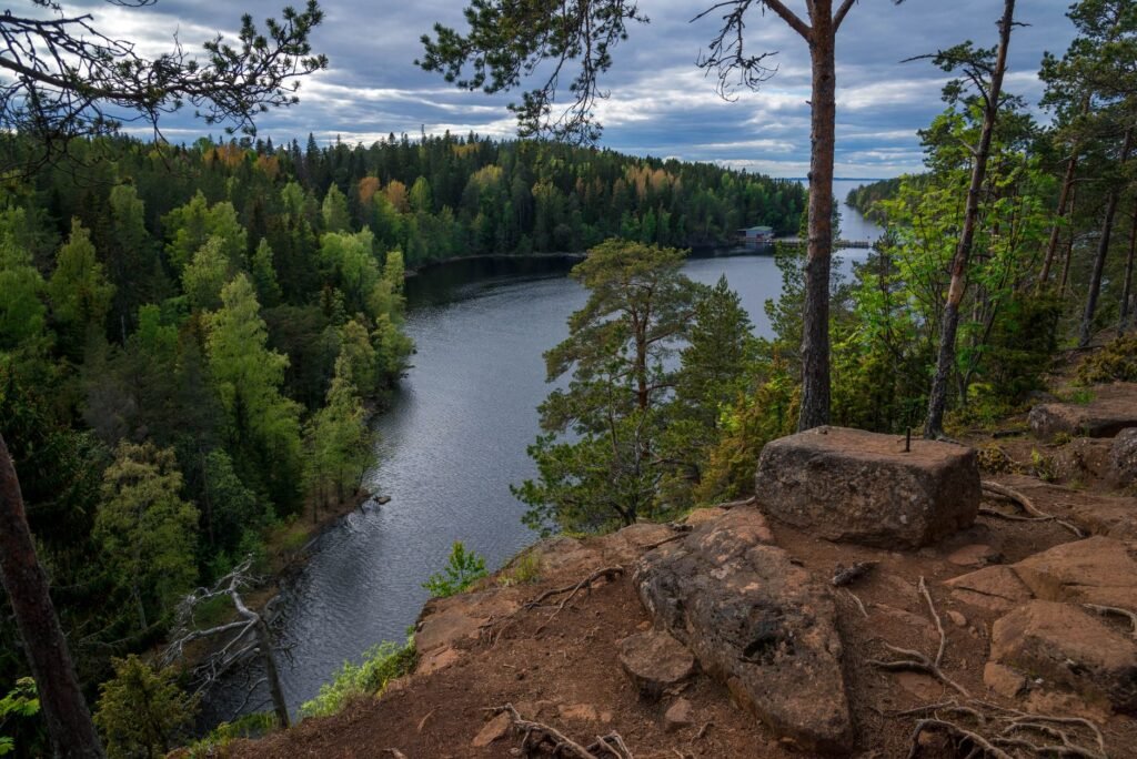 Rauhallinen joki, joka kiemurtelee eloisassa metsässä, täydellinen luontoystävällisille ja seikkailijoille.