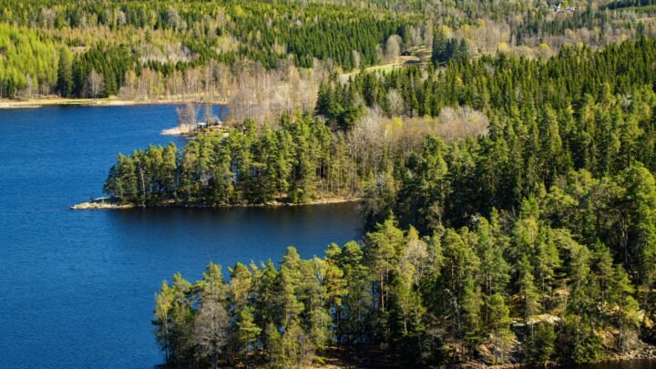 Dating Kajaanissa: Aikaa, huomiota ja aitoa keskustelua pohjoisessa