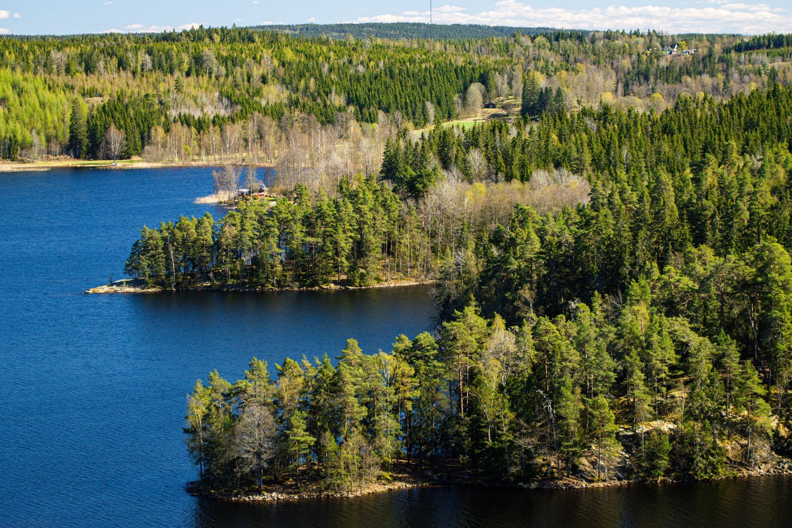 Kaunis ilmakuva metsäisestä järvestä Tenhultissa, Ruotsissa, joka esittelee pohjoismaista luonnon kauneutta.