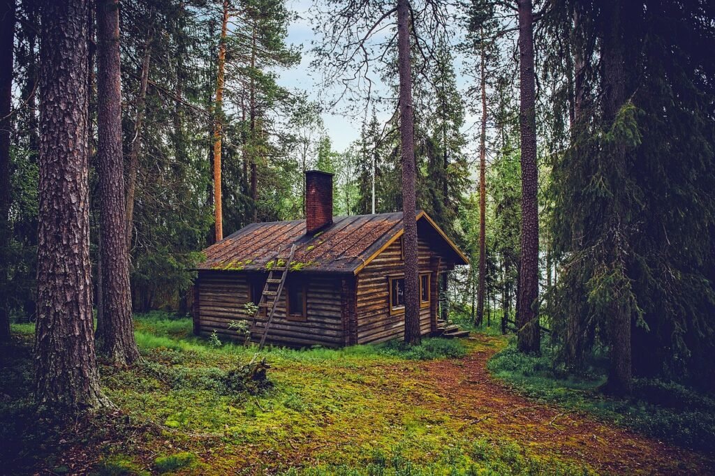 hirsimökki, mökki, talo, koti, suomi, maisema, luonne, ulkona, maa, maaseudun, metsä, puita, metsään, mökki, mökki, mökki, mö