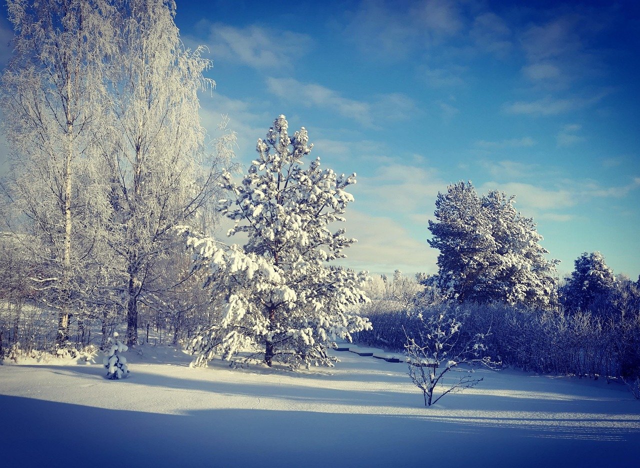 talvi, winter, suomi, finland, suomentalvi, talvipäivä, aurinkoinen, aurinko, kylmä, lumi, ice, puutarha, sun, maisema