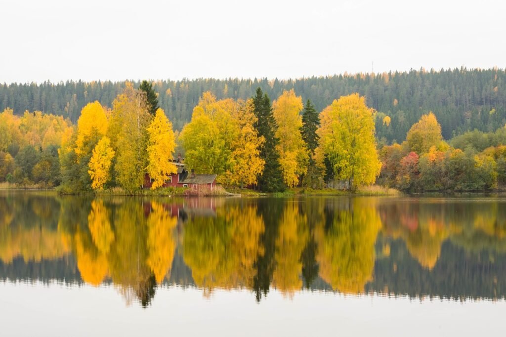 kuopio, syksy, ruska, järvi, luonne, kausiluonteinen, pudota, kuopio, kuopio, kuopio, kuopio, kuopio