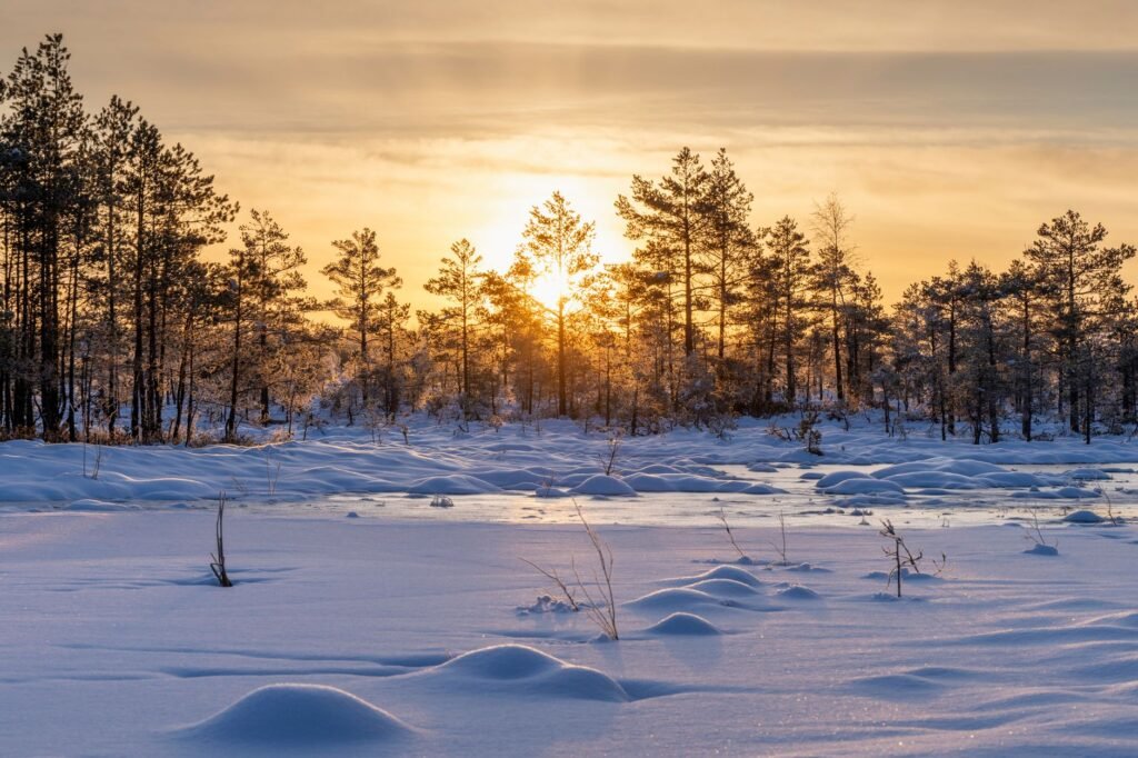 Kiehtova talvinen auringonnousu valaisee lumisen metsämaiseman.