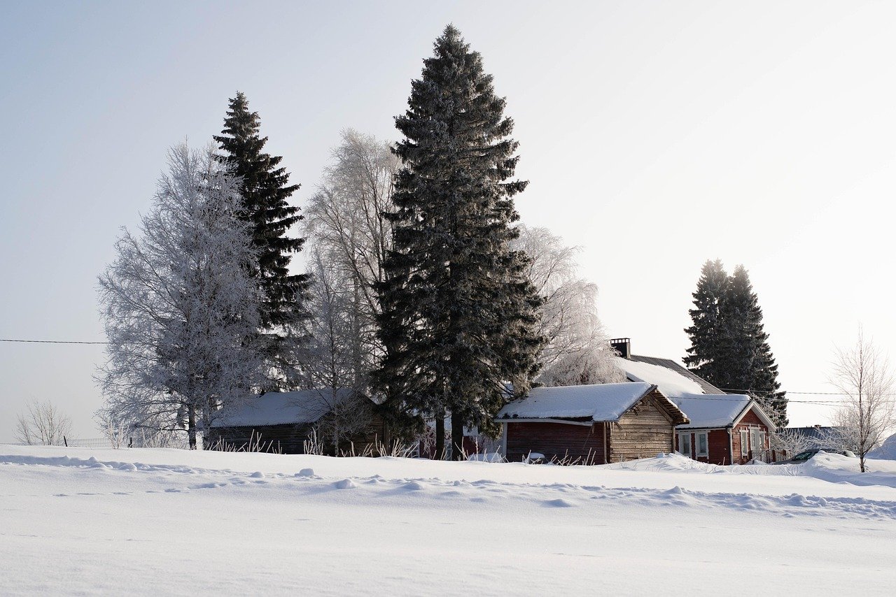 puita, luonne, maisema, lumi, talvi, kylmä, jäinen, horisontti, kenttä, suomi, vuokatti, sotkamo, maatila