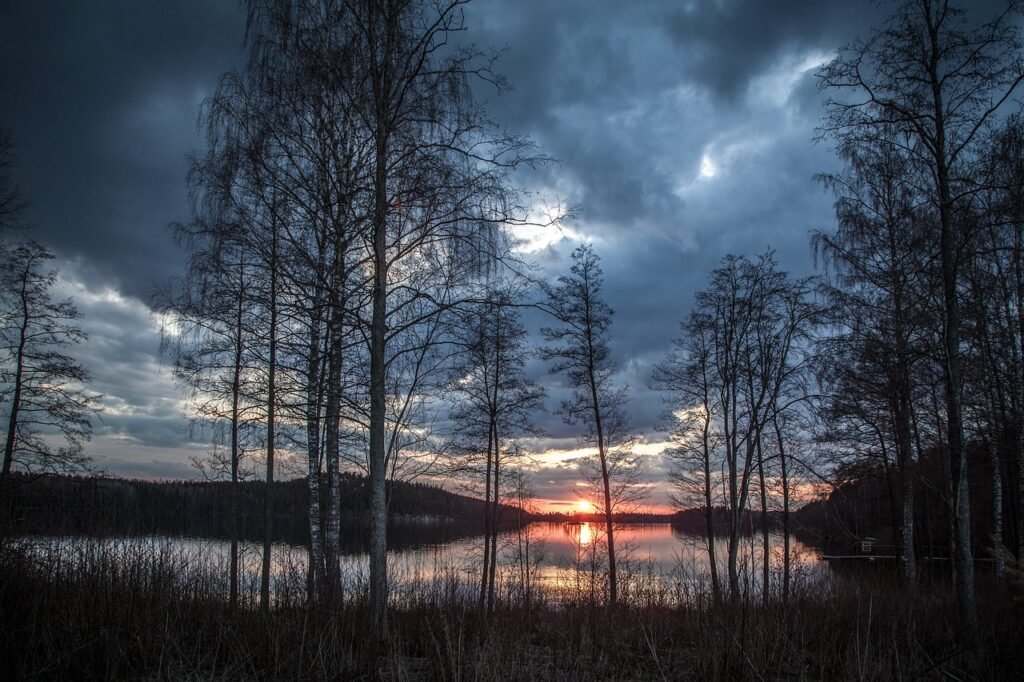 järvi, puita, auringonlasku, aurinko, auringonvalo, heijastus, vettä, pankki, metsä, metsään, hämärä, illalla, kevät, maisemi