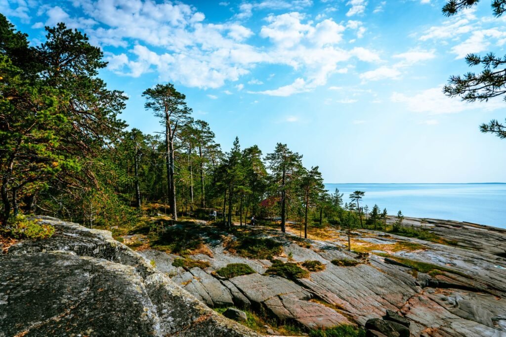 Tutustu rauhalliseen rannikkometsään, jossa on kivinen rannikko ja laaja merinäkymä.