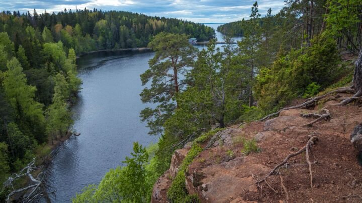 Janakkalan vierailijan opas seuranhakuun: suunnittelu, yksityisyys ja turvallinen asiointi