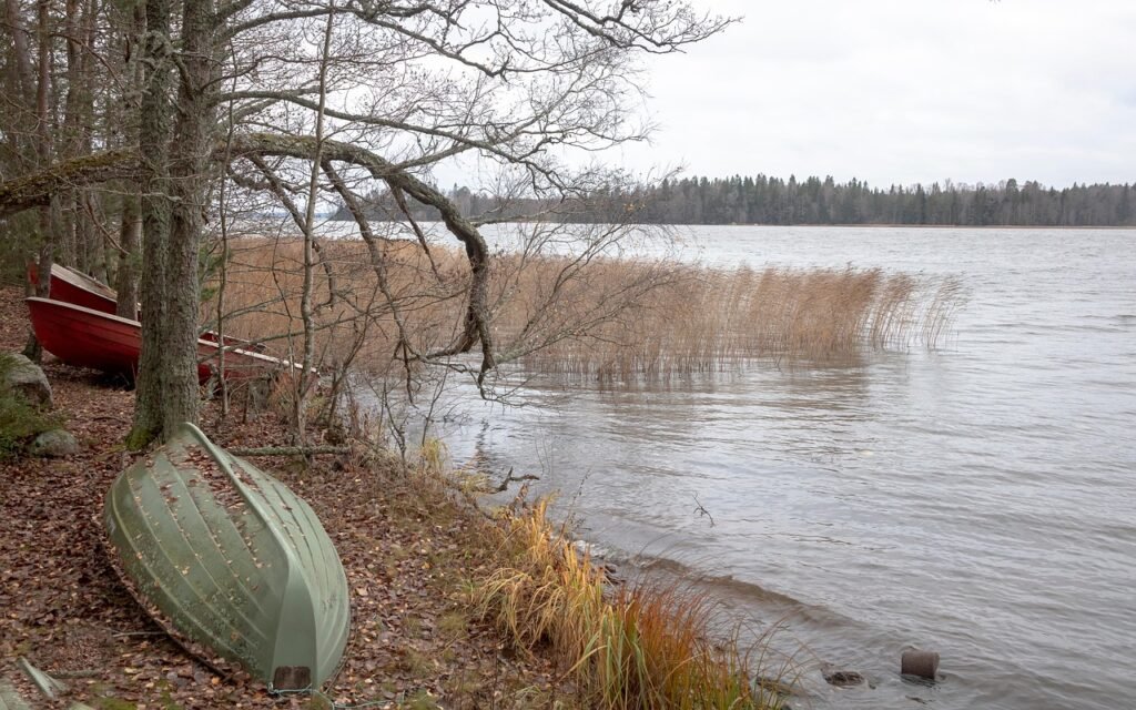 järvi, suomi, syksy, vene, ruoko -vuoteet, luonne, maisema