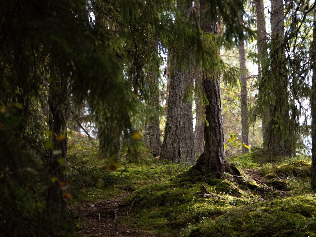 Matkailija suunnittelee vierailun aikataulua muistikirjaan