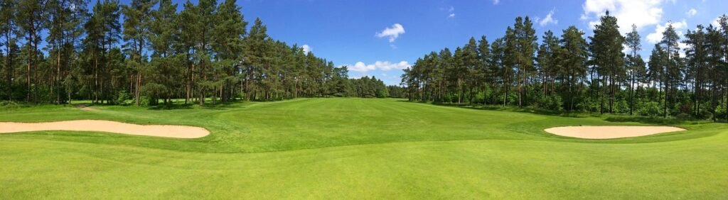 golf, vihreä, väylä, metsä, puita, luonne, golf-club worpswede, golfkenttä