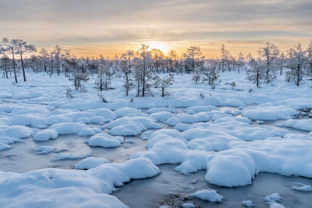 Kaunis luminen maisema puineen ja upea auringonnousu, herättäen rauhallisuutta.