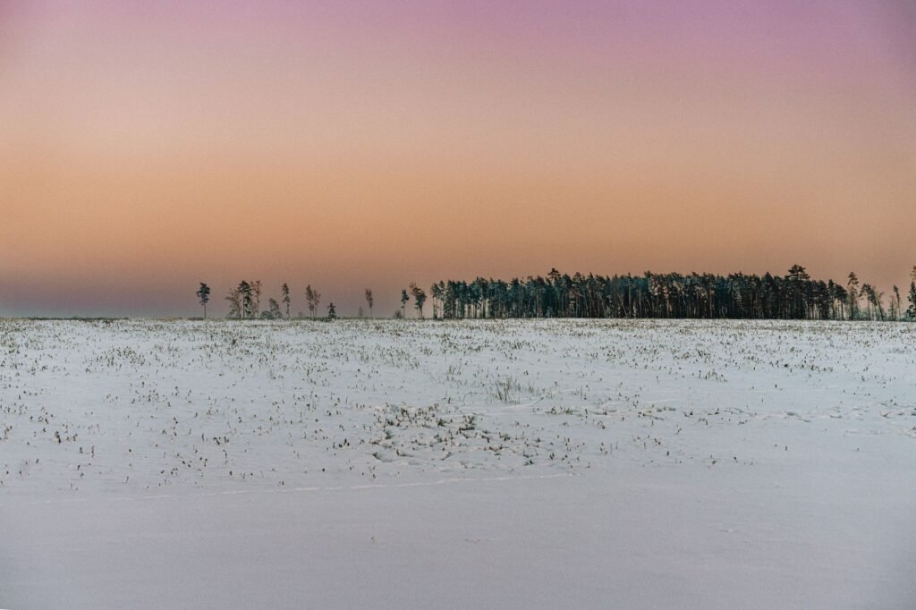 Maisemakuvia lumipeitteisestä pellosta ja puulinjasta värikkään talvisaikaisen auringonlaskun alla Valko-Venäjällä.