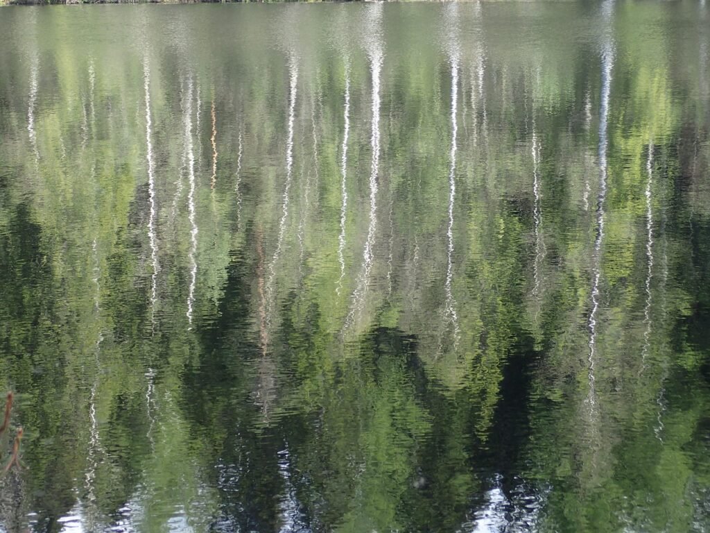 metsä, vesi, hyvinkää, luonto, lampi, piilolammi, kevät, vesiväri, koivu, hyvinkää, hyvinkää, hyvinkää, hyvinkää, hyvinkää