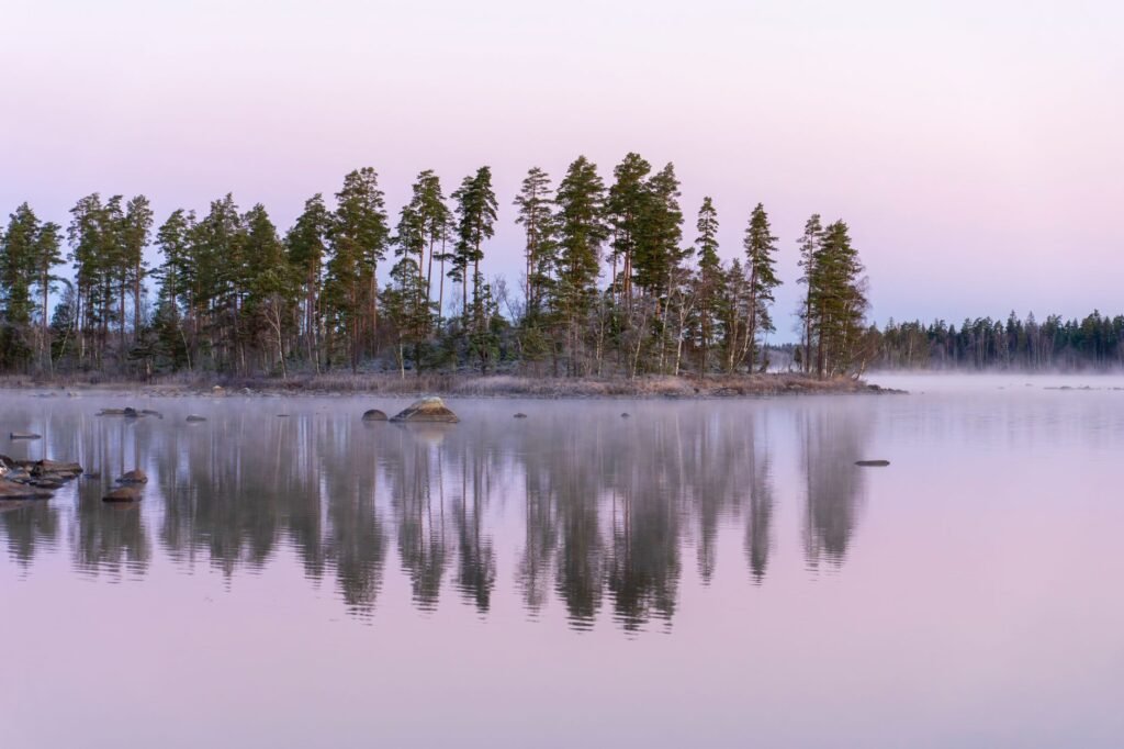 Rauhallinen näky mäntyjen heijastumasta tyynessä järvessä sumuisena aamuna.