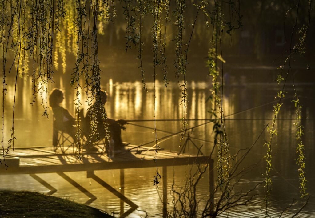 auringonlasku, lake, kalastajat, luonne, puut, valo, värit, vapaa ajan, lake, lake, lake, lake, lake