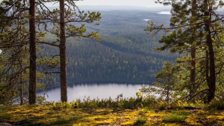 Kuusamon vierailijan opas aikuisten seuraan: suunnittele tapaaminen huomaavasti ja turvallisesti