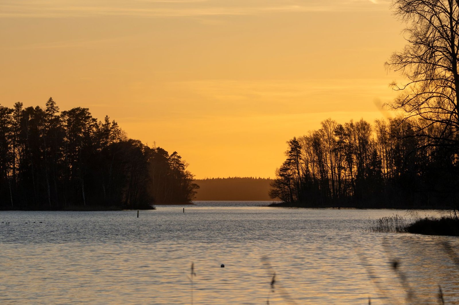 Rauhallinen järvimaisema Lieksan seudulla