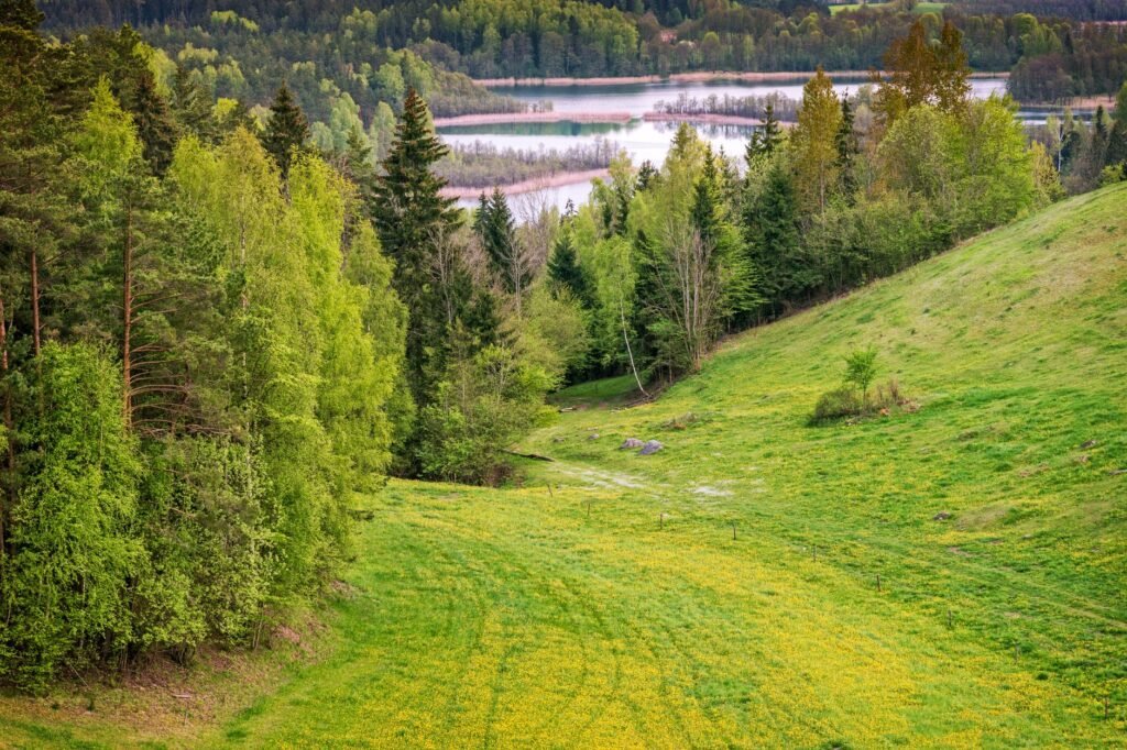 Lumoava näkymä Suwalszczyznan vehreisiin metsiin ja rauhalliseen järveen keväällä.