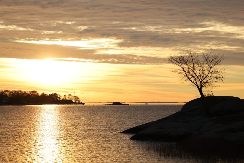 Kaunis syksyinen auringonnousu Stamfordin Cove Island Parkin yli eloisilla väreillä ja tyynillä vesillä.