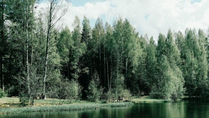 Mitä vertailla ennen päätöstä: Miten syvällinen experience rakentuu Lohjalla ja sen ympäristössä