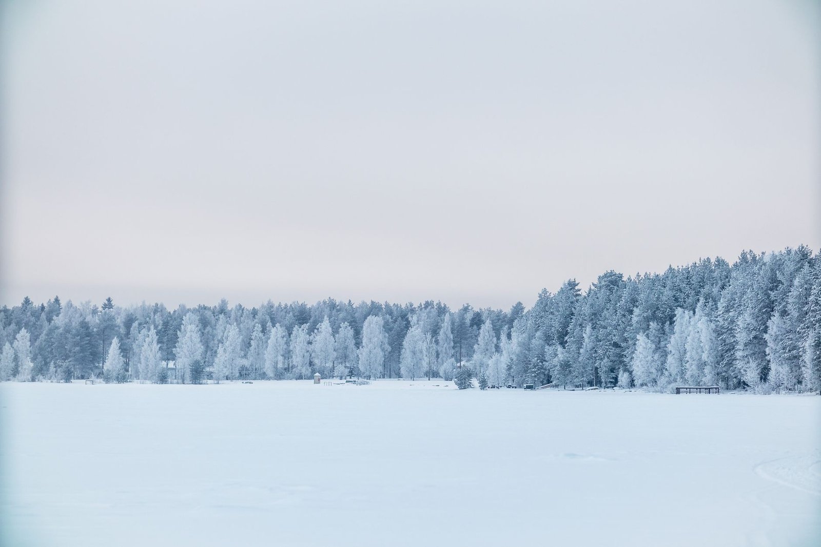 Rauhallinen talvimaisema lumipeitteisestä metsästä vaalean, pilvisen taivaan alla.