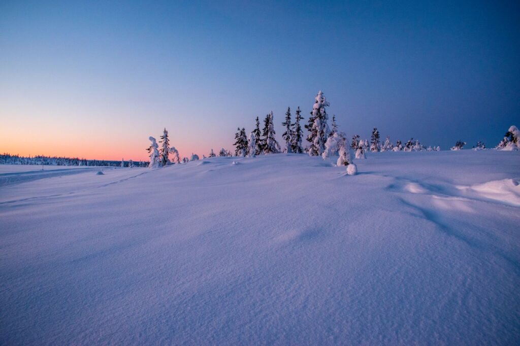 Rauhallinen talvimaisema lumipeitteisellä pellolla ja ikivihreillä puilla hämärässä, esittäen rauhallista luonnonkauneutta.