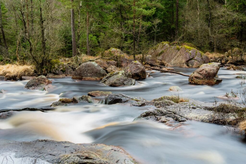 Rauhallinen puro virtaa läpi rauhallisen metsän, jossa on sammalpeitteisiä kiviä ja runsasta vihreyttä.