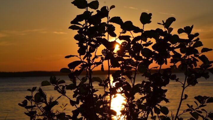 Miten romantic muuttuu paikassa Tampere