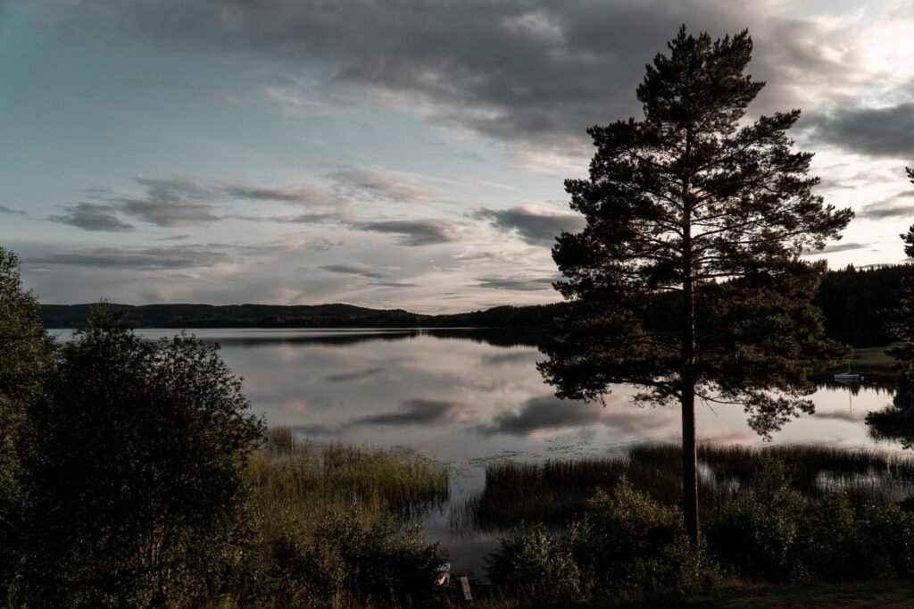 Rauhallinen järvenrantanäkymä, joka sisältää heijastuksia, vihreitä puita ja rauhallisen taivaan.