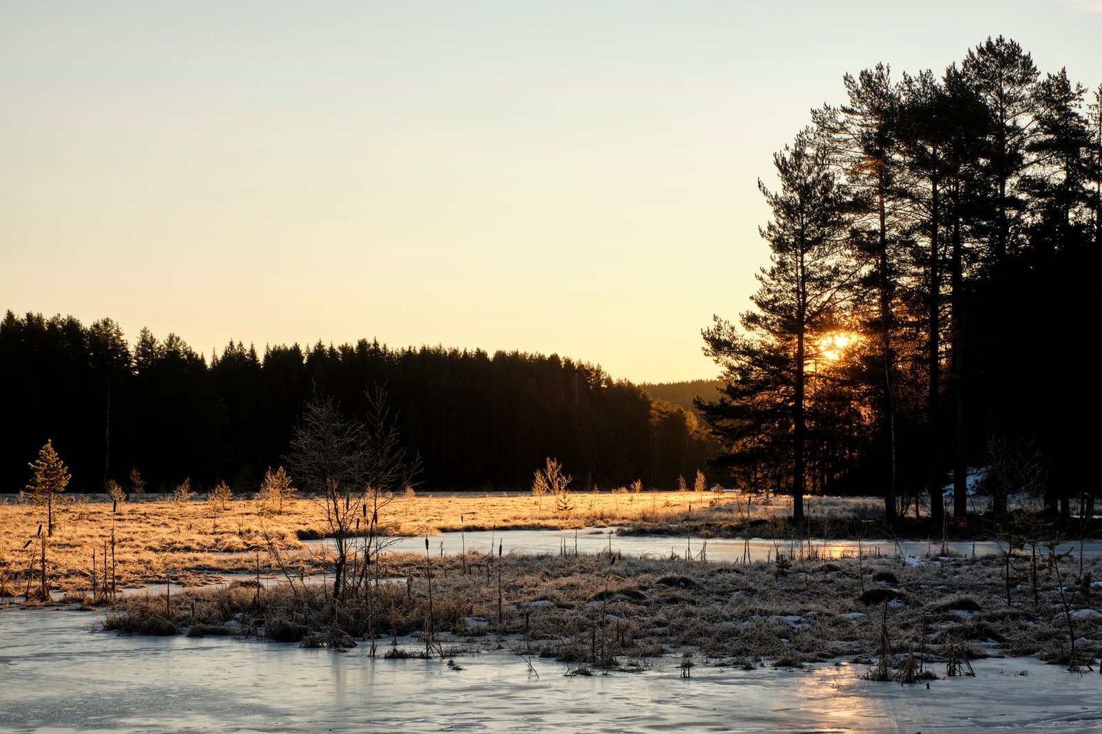 Upean talvisen auringonlaskun kuva jäätyneessä metsässä Oslossa, Norjassa.