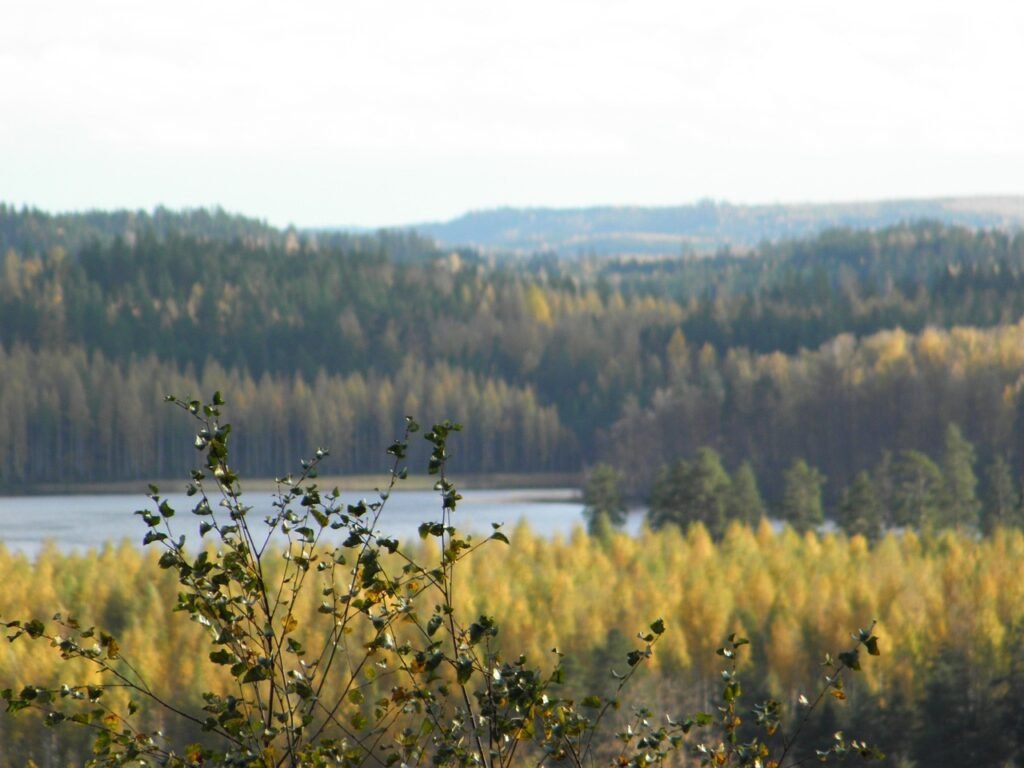 syksy, saaristo, saimaa, suomi, savonlinna, luonto, aurinkoinen, maalaismaisema, järvi, luonnonkaunis, auringonpaiste, vesi,