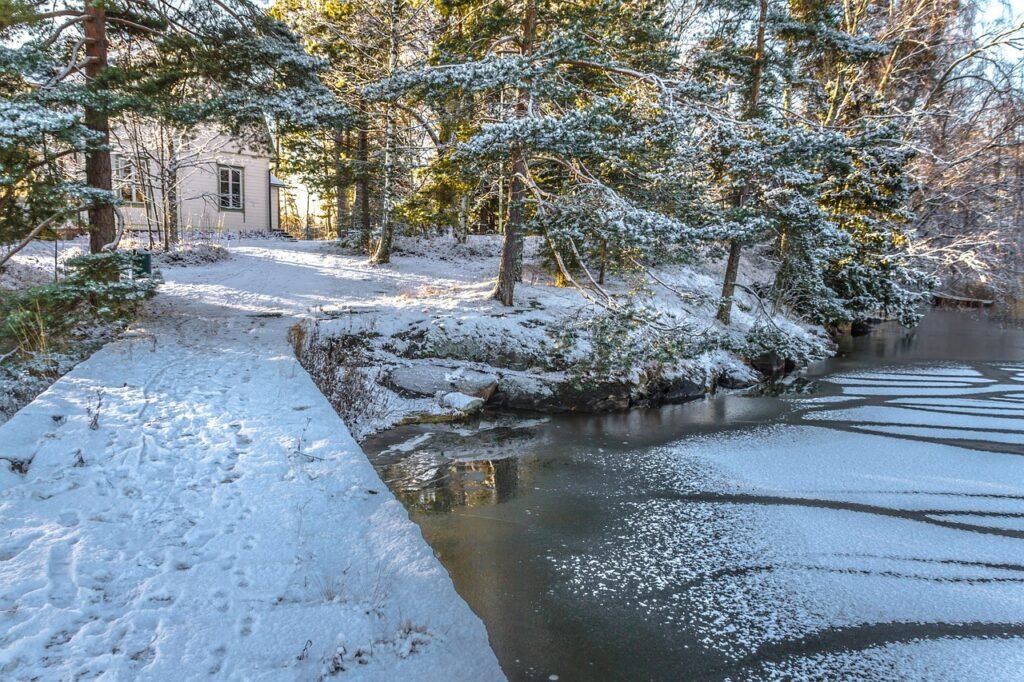 luonto, puu, talvi, lumi, vesimuodostuma, maisema, jää, villa rullud, espoo, jäinen meri, ranta, luminen