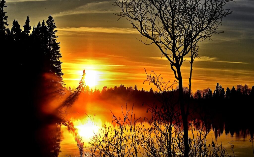 auringonlasku, maisema, hämärä, puu, pilvi, lake, kesä, luonne, sunset, kontrasti, taivas