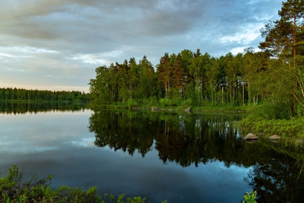 Rauhallinen metsäjärvi puiden heijastuksella auringonnousun aikaan, esitellen rauhallista luonnonmaisemaa.