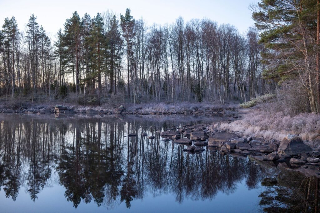 Rauhallinen talvimaisema järvestä, joka heijastaa alastomia puita rauhallisessa ympäristössä.
