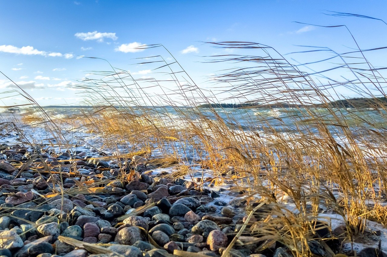 sea, reed, beach, wave, nature, sky, water, finland, blue, landscape, cloud, turku, seaside, horizon, stone, wind, day, rock,