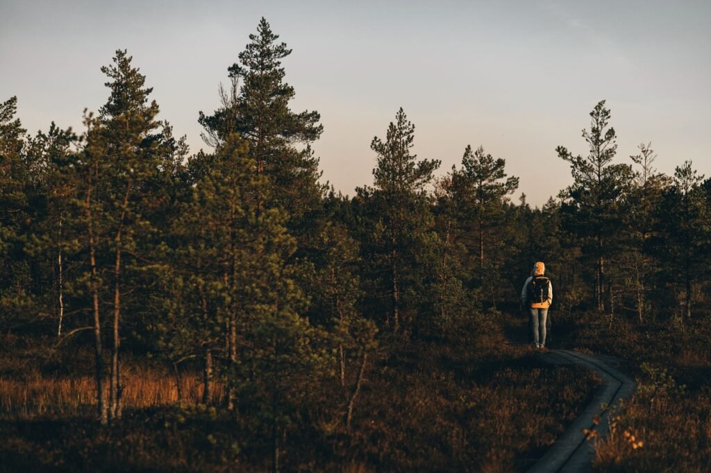Kävelypolku Vanhan-Ulvilan lähellä joen varrella illalla