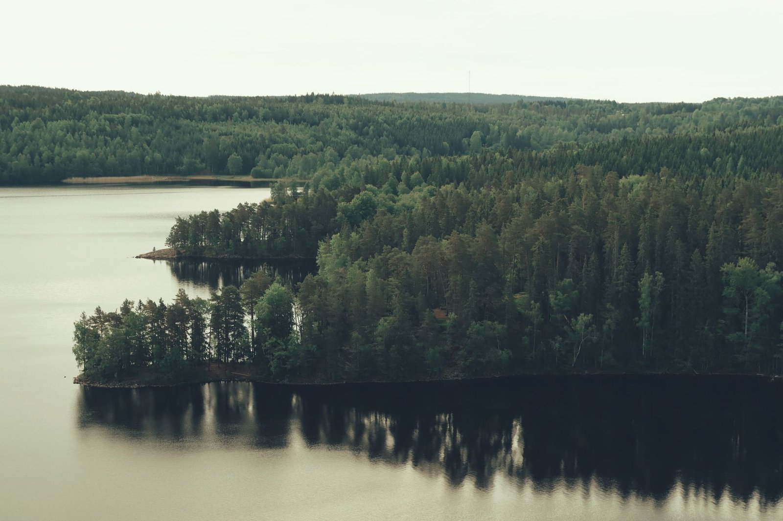 Maisemallinen ilmakuva vehreästä metsästä ja järvestä Jönköpingissä, Ruotsissa.