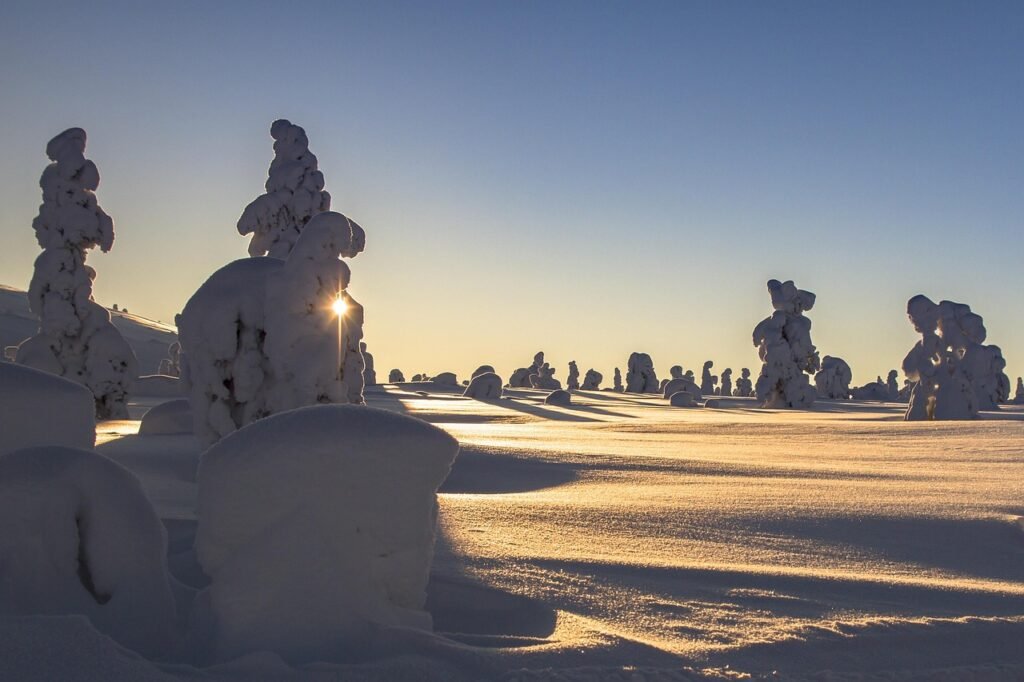 lappi, talvi, lumi, maisema, talvinen, suomi, kylmä, luminen, lumi maisema, talvi tunnelma, luonne, puita, auringonpaiste, ta