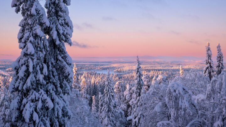 Yleisiä virheitä online-toiminnassa Torniossa ja vinkkejä niiden välttämiseen