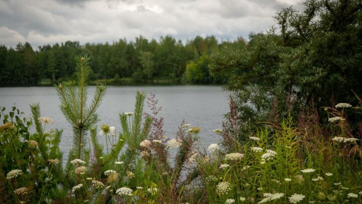 Yleisiä virheitä aiheessa experience paikassa Tuusula