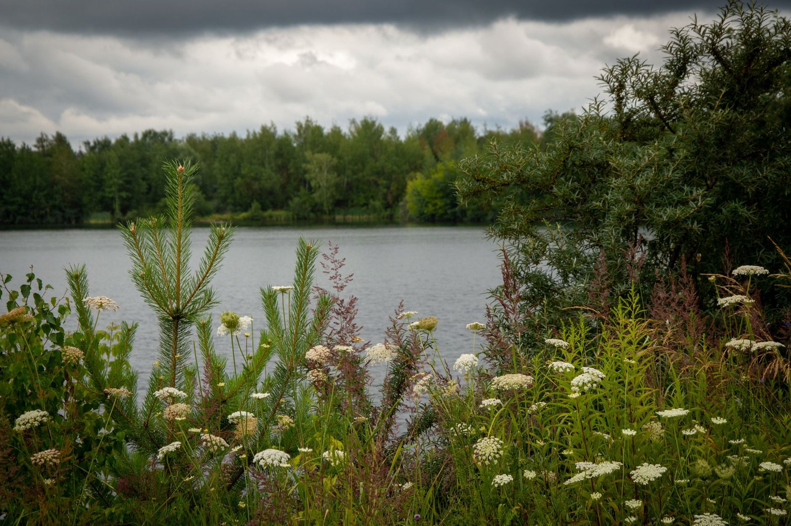 Rauhallinen kesäkuva järvestä, jota ympäröi rehevä viher ja villejä kukkia pilvisellä taivaalla.