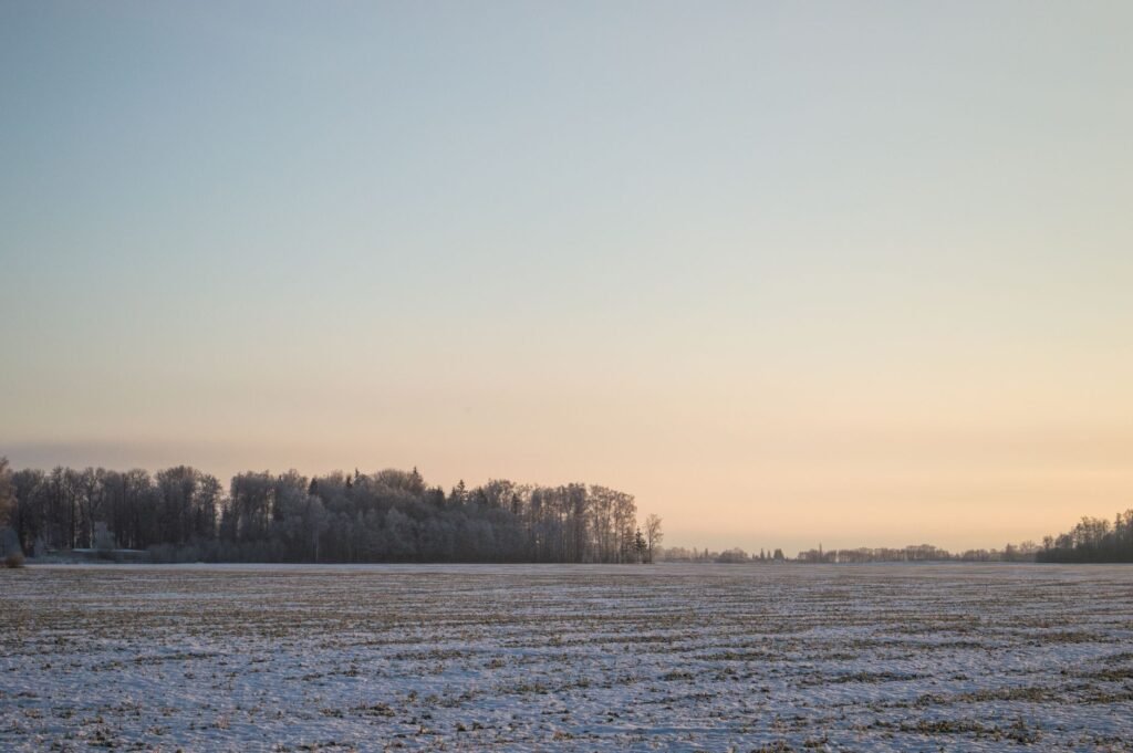 Rauhallinen talvimaisema pakastetuilla puilla ja lumipeitteisillä pelloilla auringonnousussa.