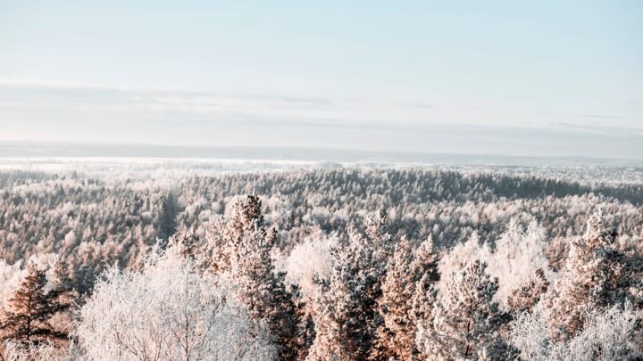 Yleisiä virheitä ja väärinkäsityksiä aiheessa female Tuusulassa ja lähialueilla