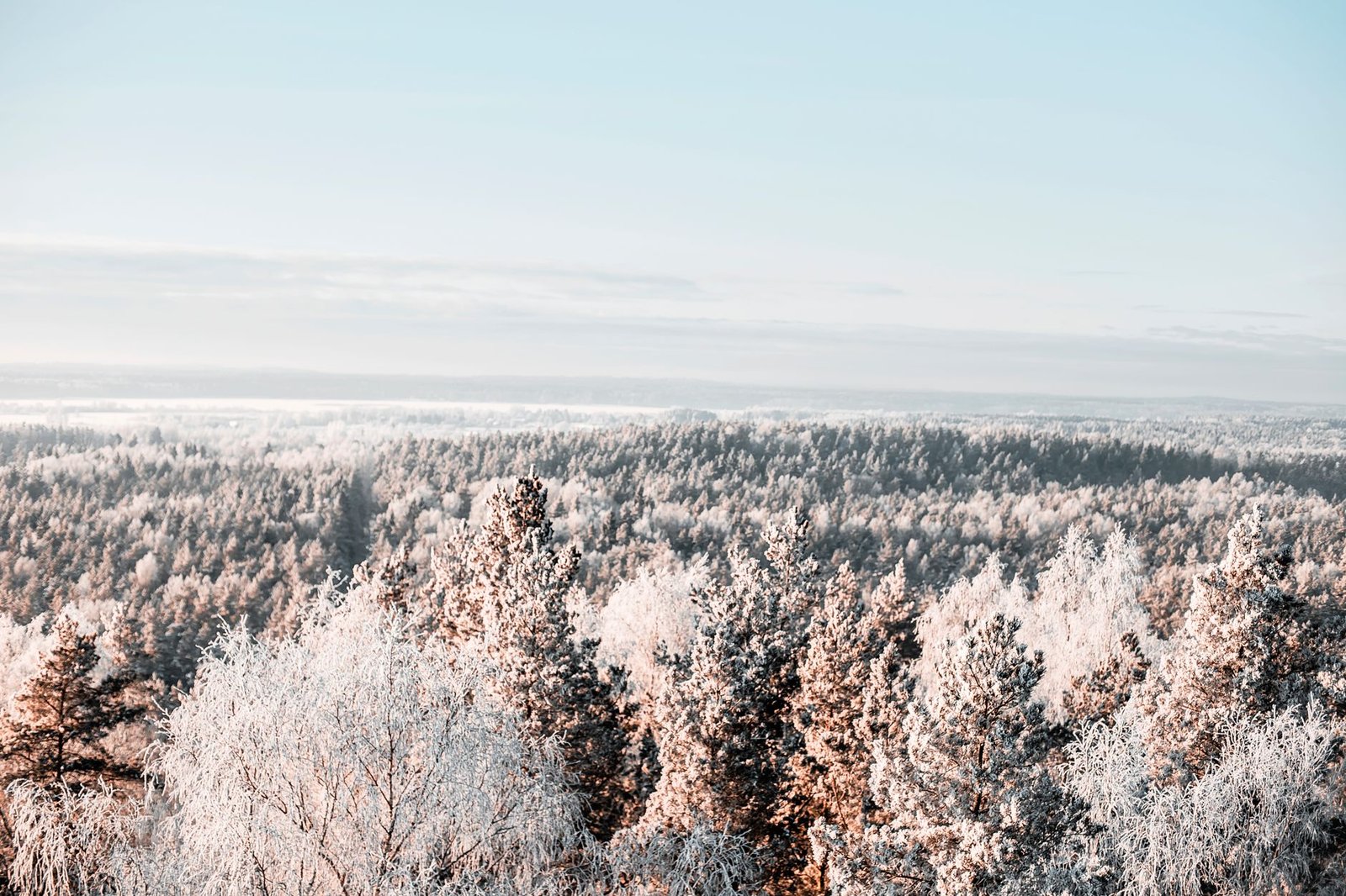 Rauhallinen ilmakuva lumisesta metsästä talvella, joka esittelee luonnon kauneutta ja rauhaa.